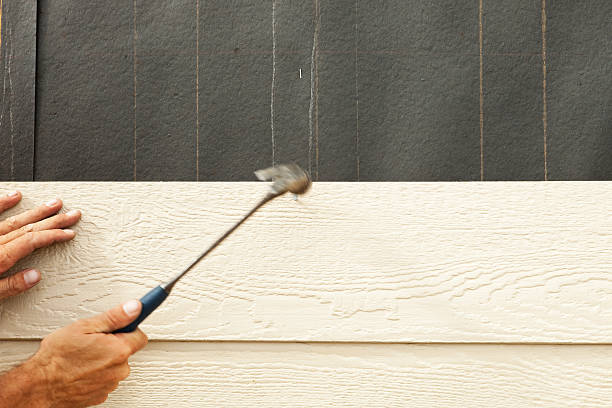 Best Vinyl Siding Installation  in Harrogate, TN